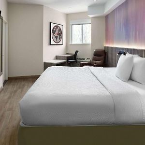 King Room Mobility accessible